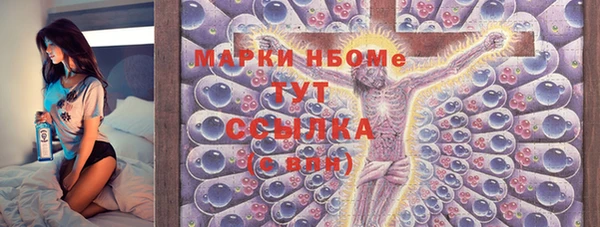 индика Володарск