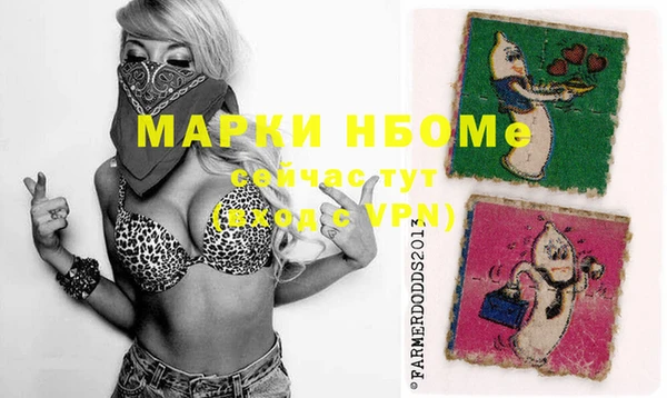 индика Володарск