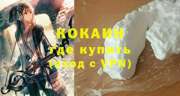 индика Володарск