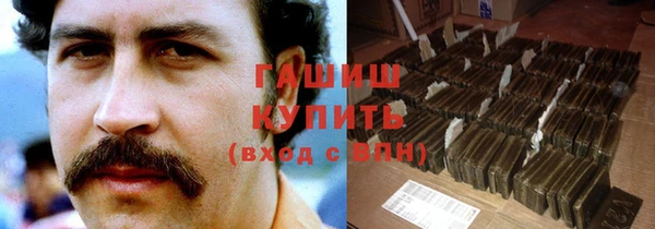 индика Володарск