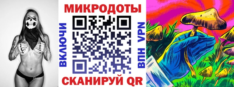 где продают   Любань  Галлюциногенные грибы Magic Shrooms 