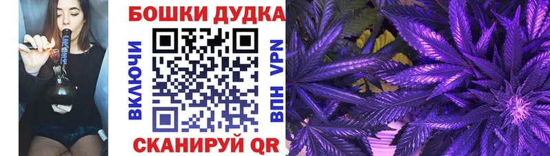 Бошки Шишки индика  Любань 